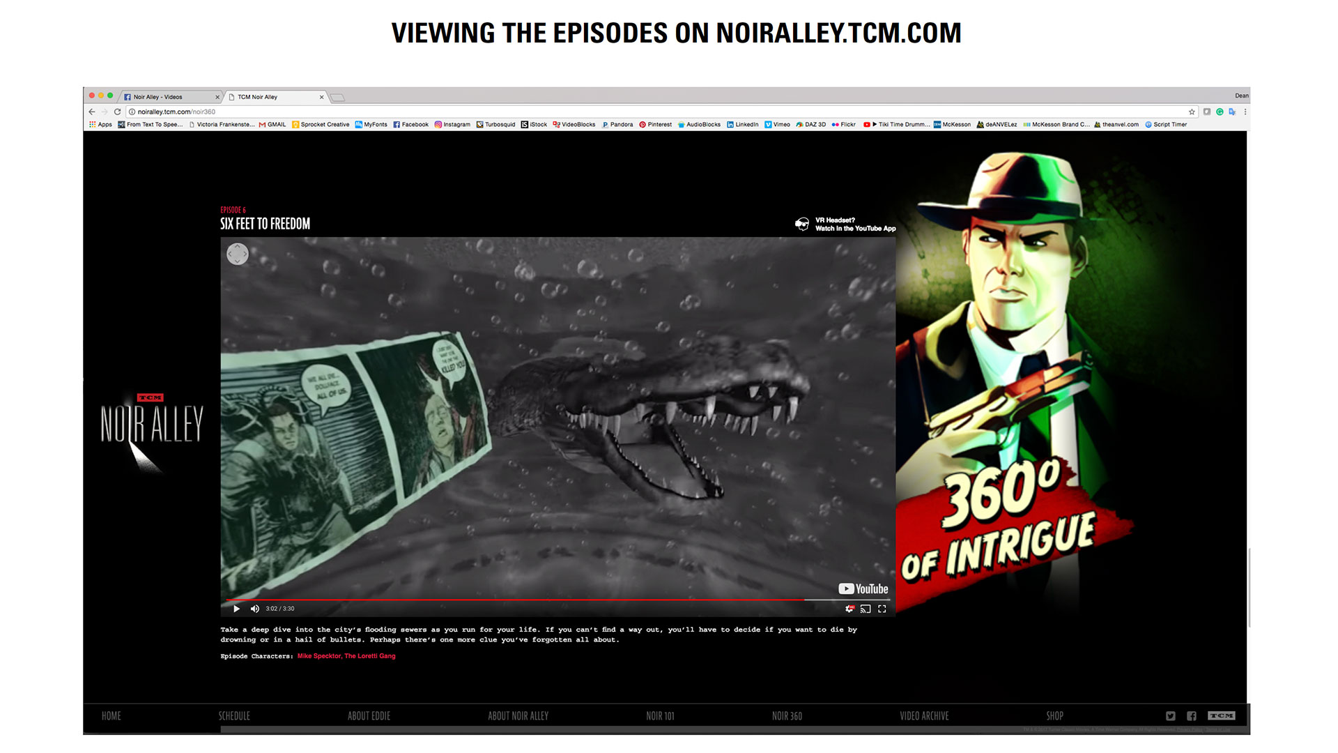 Website View